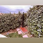 Stella Marina 2